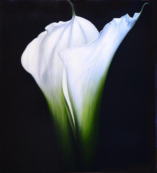Carlo Ferrari, Composizione in Bianco, 2008, olio su tela di lino, cm. 100x90