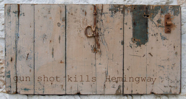 Angela Consoli - Gun-shot-kills-Hemingway - 2011 - tecnica mista su porta - 100x50