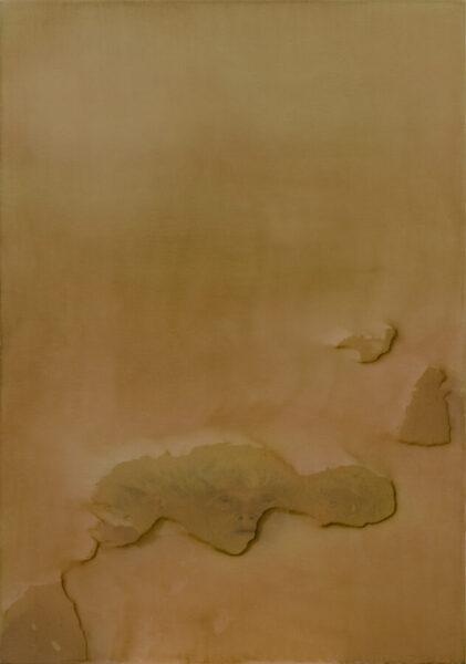 Giuseppe Adamo, Noia Fossile, 2022. Acrilico e laser print transfer su lino, 107 x 75 cm