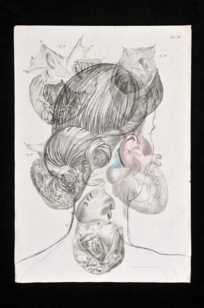 Omar Galliani, OMAR _ ROMA _ AMOR, 2011, carboncino su carta antica, 35x50 cm
