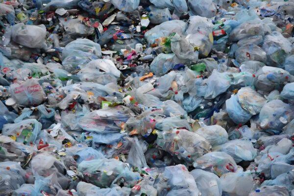  Abel Zhao Bozuo – “Plastic Earth”   “Shared Minds”,2025