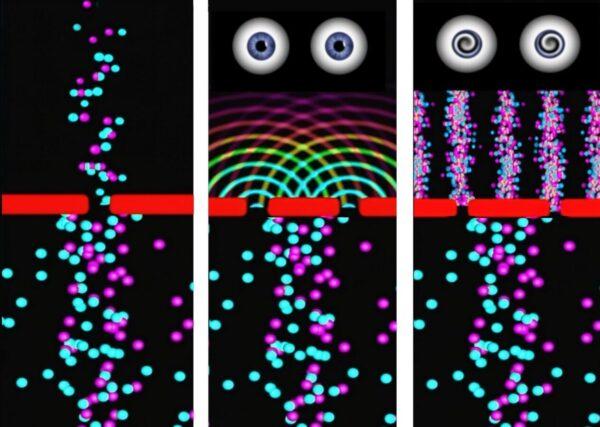 Giuliana Cunéaz, Quantum Quirks, 2024-2025, Video, Animazione 2D, 00:03:00