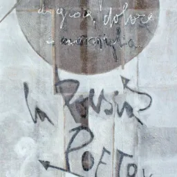 Parole S/velate - Immagine e parola nelle opere di Anna Boschi