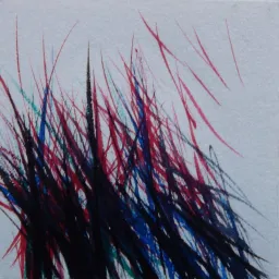 Nel Segno del Colore - Claudio Gambini