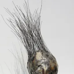 Andrea Cereda - Il difetto originale