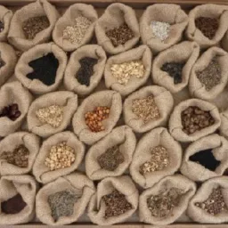 Arti Night Venezia 2016 - Calcagno Art Gallery