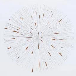 Poco prima dell'aurora