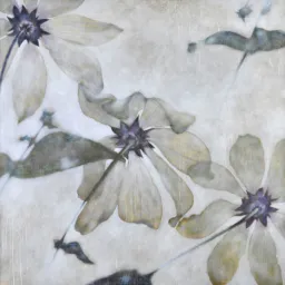 “Linfa”, Massimo Barlettani