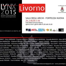 La Sala degli Archi ospita la terza esposizione del Premio Lynx