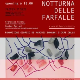 La vita notturna delle farfalle