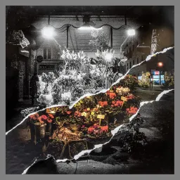 Fotograficamente di Rudy Falomi