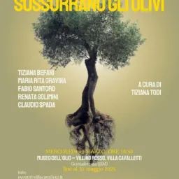 Silenzio, sussurrano gli ulivi a Grottaferrata