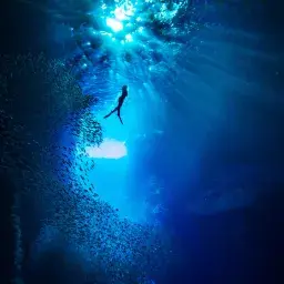 Ocean Preservation Awareness - A Discovery Expedition