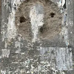 Faces Everywhere
