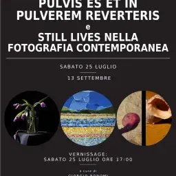 PULVIS ES ET IN PULVEREM REVERTERIS E STILL LIVES