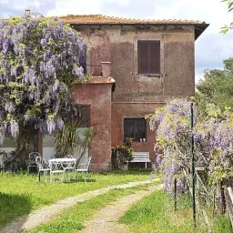 Tuscia in Arte 2026