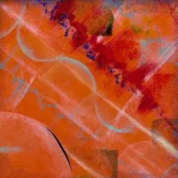 Orange Multiverse