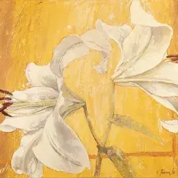 Tatyana Yang: Ubi Amor, Ibi Oculus. Visione e Trascendenza