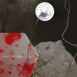 NUTAZIONI - Monica Casalino