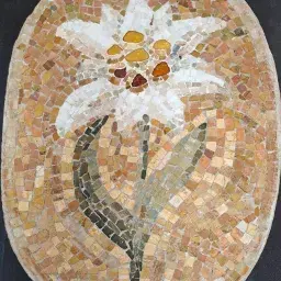 Luce e Materia Mostra concorso di mosaico