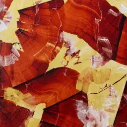 Vincenzo Scolamiero - Con qualche parte della terra