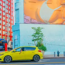 Lucia Buricelli - Everything Is Bright Here