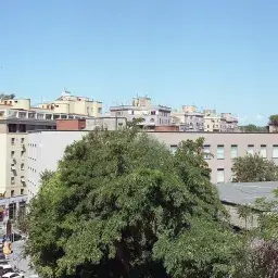 Strade dell’arte a Monteverde: edizione di Primavera (quinta)