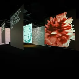 Alessandro Zannier - Escalation >< Involution