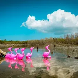L’Era Plasteozoica. Una distopia ecologica