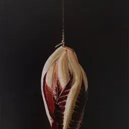 Hervé Barbieri Sintesi poetica - Jelmoni Studio Gallery