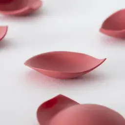 Emanuela Mastria - Scarlet