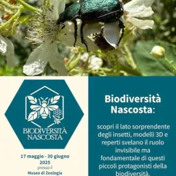 La mostra Biodiversità nascosta arriva al Museo di Zoologia