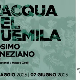Cosimo Veneziano - L’Acqua del Duemila