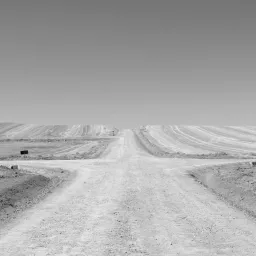 GIOVANNI INGINO  LINO BUDANO   I SALMI DI SANTIAGO