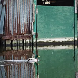 La Creatività al Femminile (Donne in Arte)