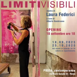 Laura Federici - Limiti Visibili