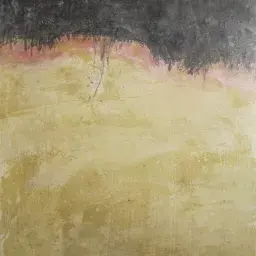 Alessandra Rovelli @ Wall