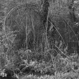 Antonio Di Cecco - Ciò che resta