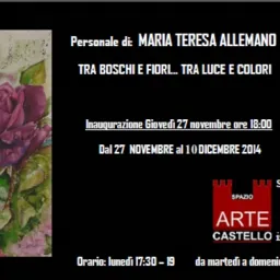 Personale di Maria Teresa Allemano