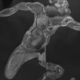 REOPENING GARD GALLERY - Ri-apertura della Galleria GARD