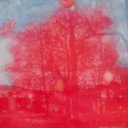 Color Regio - Enrico Ingenito