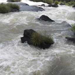 Contrappunto Personale di Miranda Gibilisco