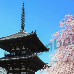 Mostra Fotografica di Stefano Seoni