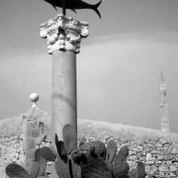 Cibo e fotografia, le tonnare protagoniste di una mostra di Boldrini nel Ristorante Accursio