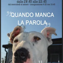 Laura Pollacci - "Quando Manca La Parola" - Fotografia