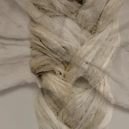 Interno 14: CENSO - Sacha