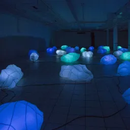 8208 LIGHTING DESIGN FESTIVAL