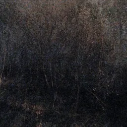 IN ART Obiettivo Fotografia