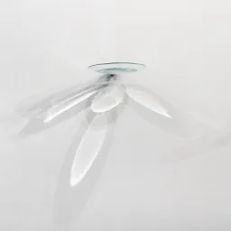 Gregorio Botta, "A cosa aspira l'acqua"