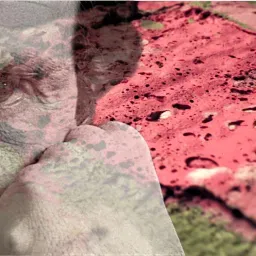 WHO IS ME - Ritornare al Corpo Ferito